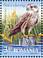 Saker Falcon Falco cherrug  2009 Birds of the Danube Delta Sheet