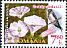 Barn Swallow Hirundo rustica  2012 Flora and fauna I 6v set