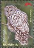 Ural Owl Strix uralensis