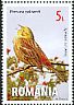 Yellowhammer Emberiza citrinella  2015 Songbirds 