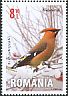 Bohemian Waxwing Bombycilla garrulus  2015 Songbirds 