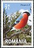 Eurasian Bullfinch Pyrrhula pyrrhula  2015 Songbirds 