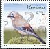 Eurasian Jay Garrulus glandarius  2017 Intelligent birds 