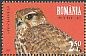 Merlin Falco columbarius  2017 Endangered species 4v set