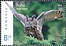 Eurasian Eagle-Owl Bubo bubo  2018 Birds records 