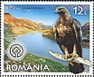 Golden Eagle Aquila chrysaetos