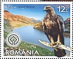 Golden Eagle Aquila chrysaetos