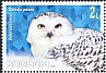 Snowy Owl Bubo scandiacus  2020 Polar fauna 4v set