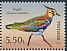 Northern Lapwing Vanellus vanellus  2021 Delta of Moldova 