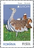 Great Bustard Otis tarda