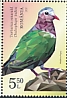 Common Emerald Dove Chalcophaps indica