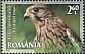 Common Kestrel Falco tinnunculus  2022 Calimani national park 4v set