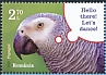 Grey Parrot Psittacus erithacus  2022 Intelligent animals 4v set