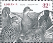 European Turtle Dove Streptopelia turtur  2022 Gamebirds  MS