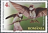 Sand Martin Riparia riparia  2022 International Danube day 4v set