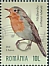 European Robin Erithacus rubecula