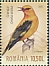 Eurasian Golden Oriole Oriolus oriolus  2022 Songbirds 