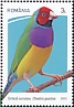 Gouldian Finch Chloebia gouldiae  2023 International Bird Day 