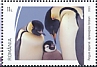 Emperor Penguin Aptenodytes forsteri  2023 International Bird Day 