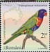 Rainbow Lorikeet Trichoglossus moluccanus