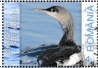 Rumania 2024 Aquatic winter birds Sheet with 5x4l