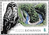 Ural Owl Strix uralensis