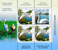 Click for enlargement