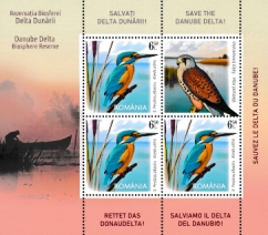 Click for enlargement