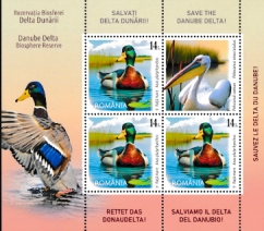 Click for enlargement