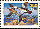 Steller's Eider Polysticta stelleri  1993 Ducks 