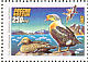 King Eider Somateria spectabilis