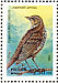 Song Thrush Turdus philomelos  1995 Skylark x2, Thrush x2 and Nightingale Sheet