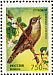 Thrush Nightingale Luscinia luscinia