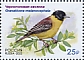 Black-headed Bunting Emberiza melanocephala  2022 Birds 