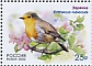 European Robin Erithacus rubecula  2022 Birds 