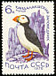 Atlantic Puffin Fratercula arctica  1976 Water birds 