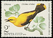 Eurasian Golden Oriole Oriolus oriolus