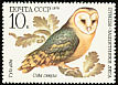 Western Barn Owl Tyto alba