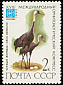 Hooded Crane Grus monacha