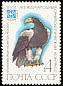 Steller's Sea Eagle Haliaeetus pelagicus