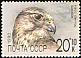 Saker Falcon Falco cherrug  1990 Relief fund 