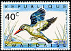 Woodland Kingfisher Halcyon senegalensis  1967 Birds of Rwanda 
