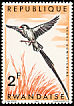 Pin-tailed Whydah Vidua macroura