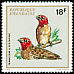 Red-headed Quelea Quelea erythrops  1972 Rwanda birds 