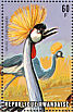 Grey Crowned Crane Balearica regulorum