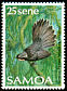 Samoan Fantail Rhipidura nebulosa  1988 Birds 