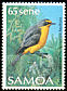 Samoan Whistler Pachycephala flavifrons  1988 Birds 
