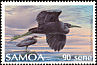 Pacific Reef Heron Egretta sacra  1989 Birds 
