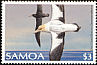 Short-tailed Albatross Phoebastria albatrus  1989 Birds 