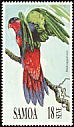 Black-capped Lory Lorius lory  1991 Parrots 